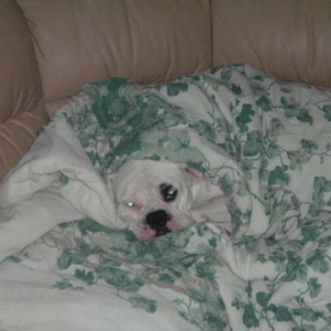 spoiled or what
