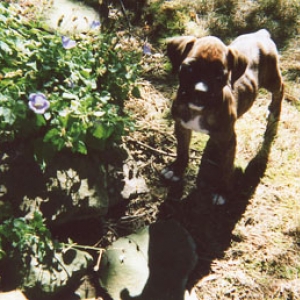 Bella's 2nd day home