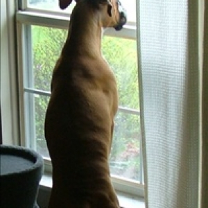 Waiting for daddy
