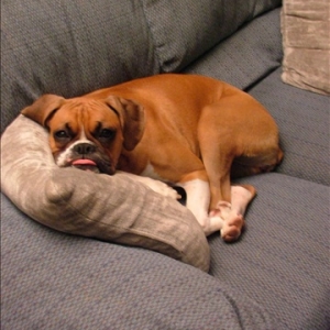 Ready for a nap