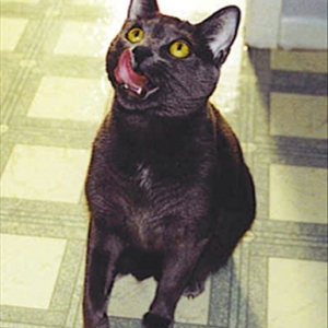 I can already taste it!