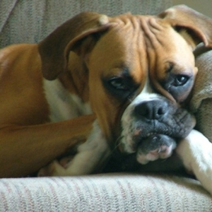 It's been a long day