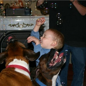 Lex and Luke sharing their bubbles