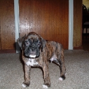 Andreas first day in new home