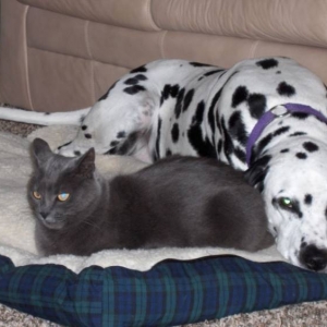 These two are the best of friends.