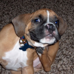 I don't like this collar darnit......