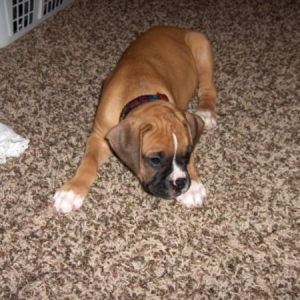 hmmmmmmm.....what do we have here