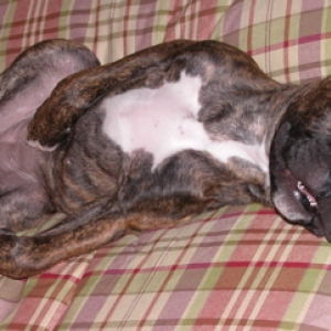 A face only a mother could love...