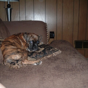 Andreas in his favorite spot