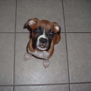 Nearly 10 weeks old