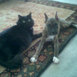 Ali (3mos) and Kenya just from nap