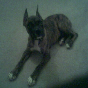 Ali(3mos) being alert