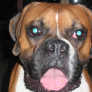 SmileMax