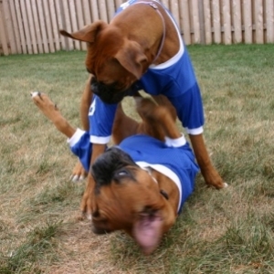 We have a personal foul...