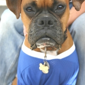 Beasley's Game Face