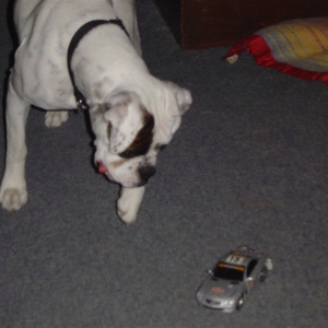 Remote control car