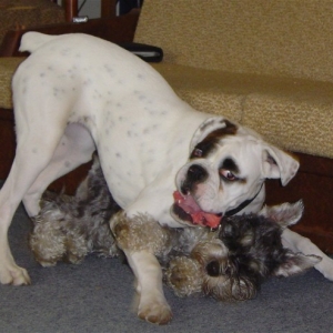 Storm & Cooper