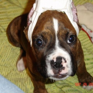 When does this hat come off again