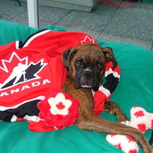 VICTORY - CANADA WINS WCH