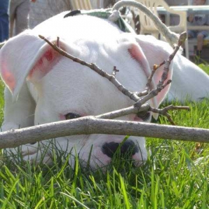 Peek-a-Boo