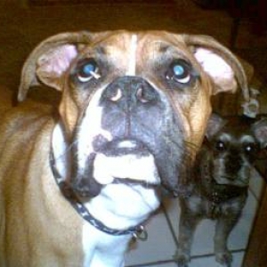 Is it biscuit time?