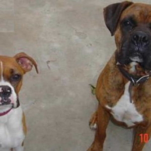 Brandy and Buddy's parents