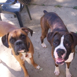 Hugo and Cay