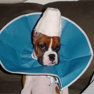 Indy and her "hat"