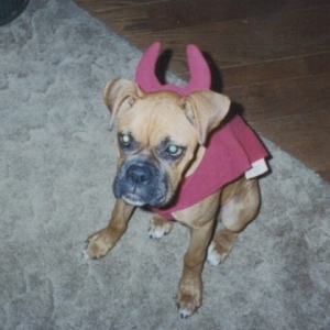 Scary Devil