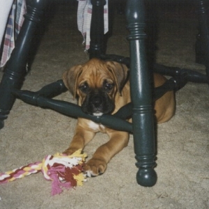 Hiding!