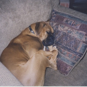 My Chair