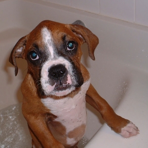 I love baths!!!