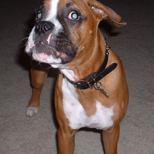 You talkin to me???