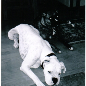 Monte and Peyton