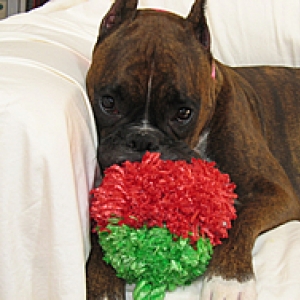 Am I just too cute :)