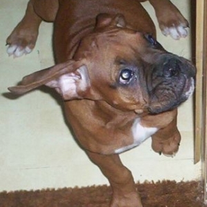 HeHe! Found you!