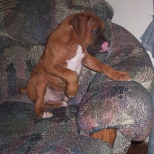 Wow! I found out how to lick my nose.