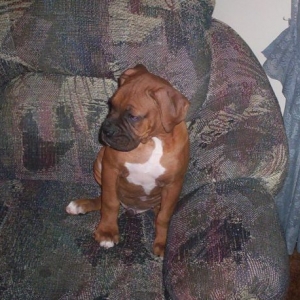 Surroundings seem to be O.K!