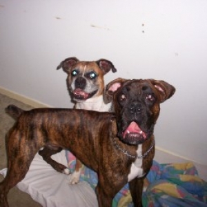 Mooom..Xena won't share!