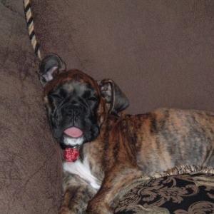 Andreas sound asleep