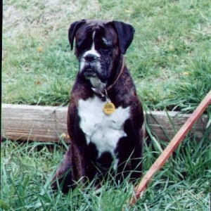 Hillie, my pretty poser