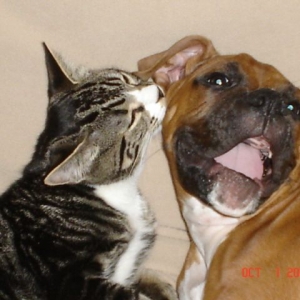 DB Tyson and Friend