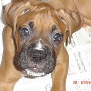 Our Baby Ty