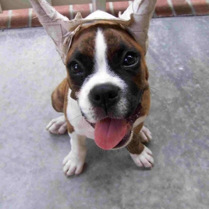 You taped WHAT inside my Ears?