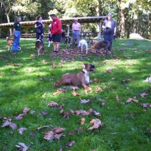 Redwood Park