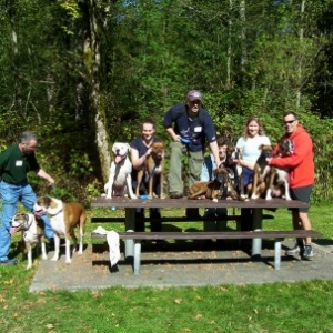 Boxer_gathering7