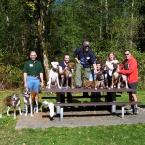 Boxer_gathering8