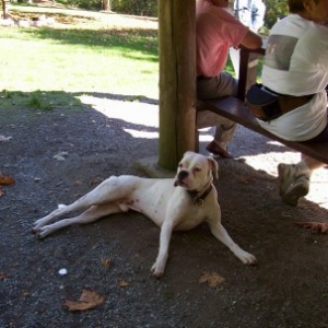 Chance_resting