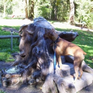 Isabelle_on_fountain1