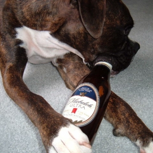 "Time for a cold one"